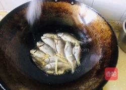 冬瓜豆腐鲫鱼汤的做法图解3