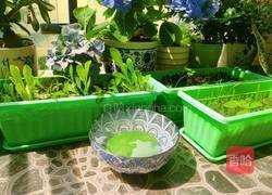 菠菜馒头的做法图解12