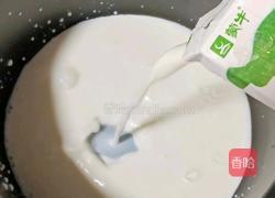 牛奶芒果雪糕的做法图解5