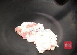 肥肉炒马齿苋的做法图解4