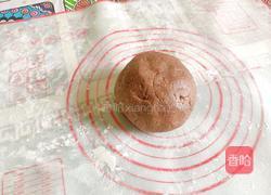 猫咪巧克力饼干的做法图解14