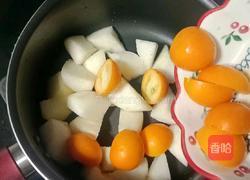雪梨金桔糖水的做法图解6