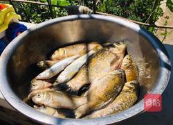 香酥小鲫鱼的做法图解1