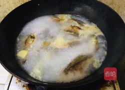 鲫鱼豆腐汤的做法图解4