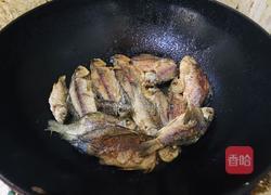 野生鲫鱼冬瓜汤的做法图解4