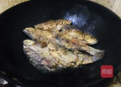 红烧野生鲫鱼的做法图解3