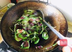 清炒红苋菜的做法图解4