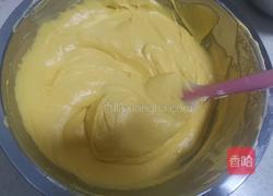 芒果冰淇淋的做法图解11