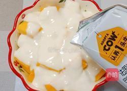 酸奶芒果燕麦片的做法图解7