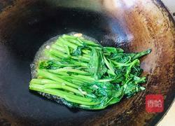 蒜炒菜心的做法图解5