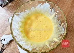 芒果冰淇淋的做法图解5