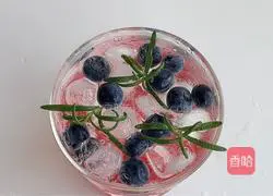 Cranberry Soda Recipe Illustration 10
