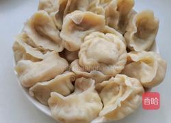 冬瓜猪肉水饺的做法图解7