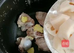 虫草花猪骨汤的做法图解8