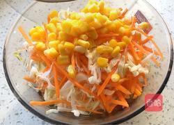 包包菜胡萝卜沙拉的做法图解3
