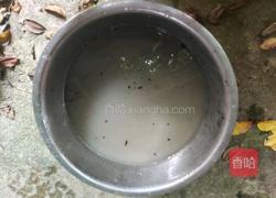 蚯处鸡的做法图解1