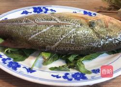 薄荷鲈鱼的做法图解4