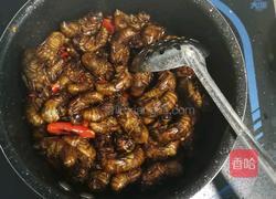 香辣油炸干煸知了猴的做法图解7