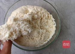 芹菜鲜肉生煎包的做法图解7