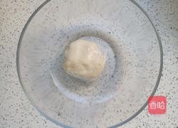 鲜肉月饼的做法图解4