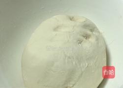 萝卜肉馅包子-神奇的面粉的做法图解4