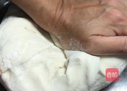 萝卜肉馅包子-神奇的面粉的做法图解9