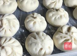 萝卜肉馅包子-神奇的面粉的做法图解14