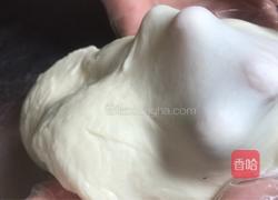 栗子酥饼-神奇的面粉的做法图解9