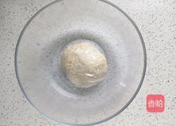 老婆饼（绿豆馅）的做法图解4