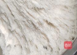 刀切馒头(暄软劲道)的做法图解10