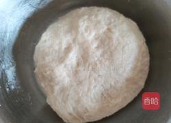 鲜肉酥饼的做法图解9