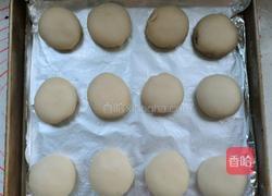 鲜肉酥饼的做法图解17