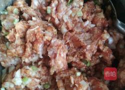 猪肉灌汤小笼包的做法图解10