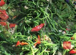 虾皮辣炒萝卜苗的做法图解9