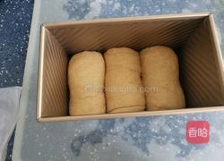 全麦吐司（50％）的做法图解15