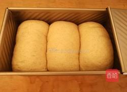 全麦吐司（50％）的做法图解17