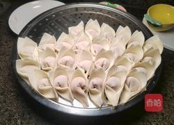 自制红油抄手的做法图解2