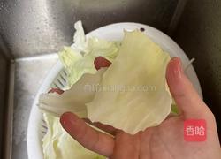 醋溜手撕包菜的做法图解1