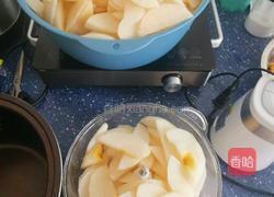 雪梨膏的做法图解4