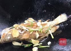 红烧桂鱼的做法图解5