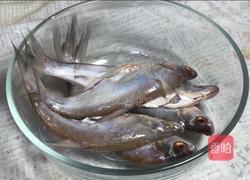 红烧刁子鱼的做法图解3