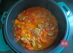 番茄炖牛肉 的做法图解8