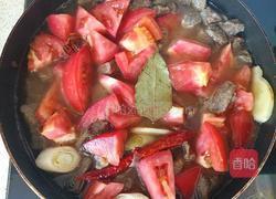 番茄炖牛肉的做法图解9