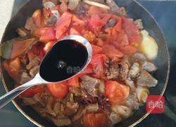 番茄炖牛肉的做法图解10