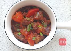 番茄炖牛肉的做法图解11