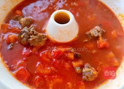 番茄牛腩的做法图解14