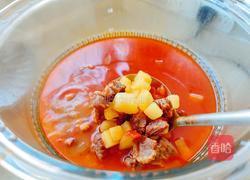 番茄牛腩的做法图解16