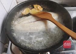 茄汁焖鱼的做法图解3