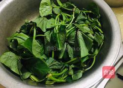 蒜香红薯叶的做法图解1