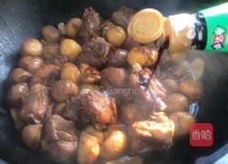 板栗烧排骨的做法图解7